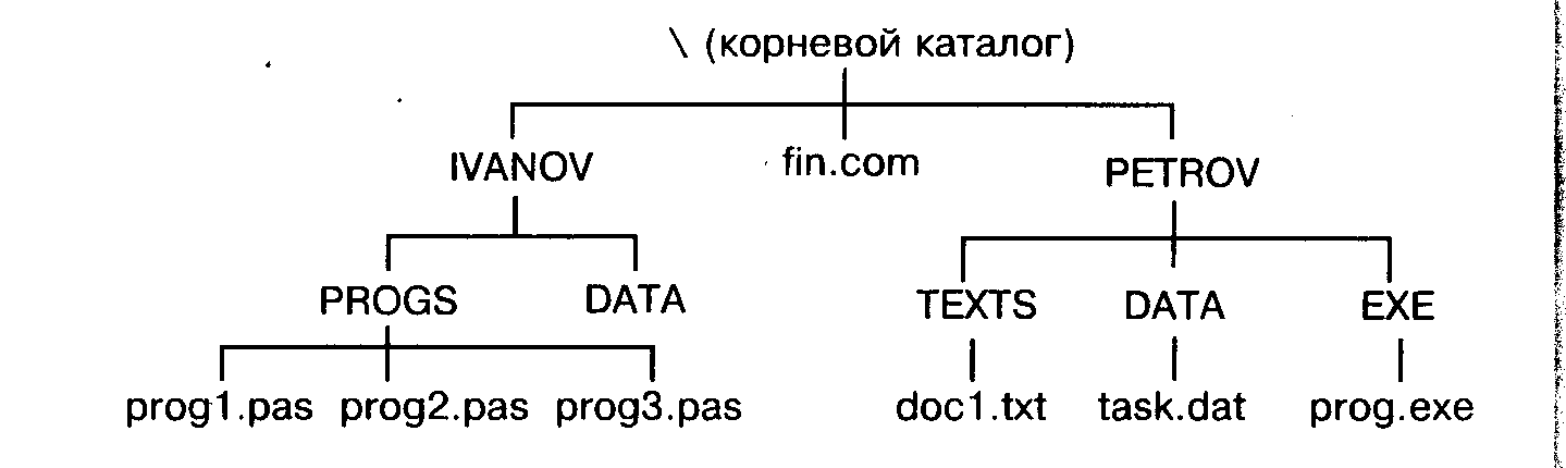 Графическое изображение иерархической файловой структуры называется. Пример иерархической файловой структуры. Графическое изображение иерархической файловой структуры. Иерархическая файловая структура схема. Дерево корневой каталог.