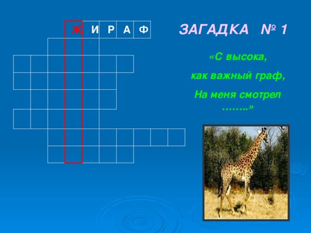 ЗАГАДКА № 1  Ж И Р А Ф «С высока, как важный граф, На меня смотрел ……..»   