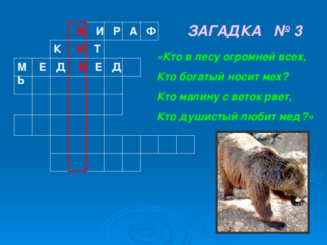 ЗАГАДКА № 3  Ж И Р А Ф К И Т «Кто в лесу огромней всех, Кто богатый носит мех? Кто малину с веток рвет, Кто душистый любит мед?» М Е Д В Е Д Ь    