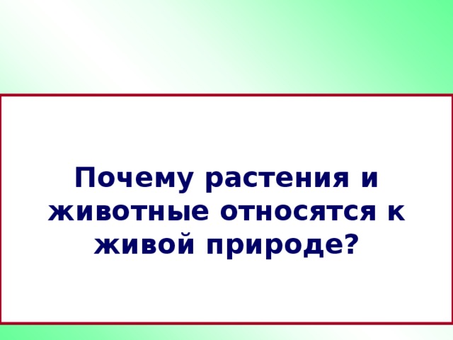 Почему растения и животные относятся к живой природе? 