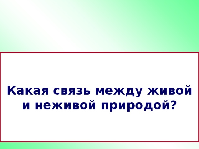 Какая связь между живой и неживой природой? 