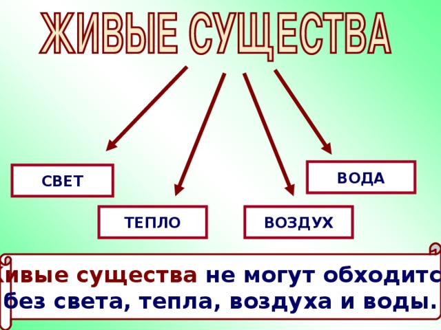 ВОДА СВЕТ ТЕПЛО ВОЗДУХ Живые существа не могут обходится без света, тепла, воздуха и воды. 