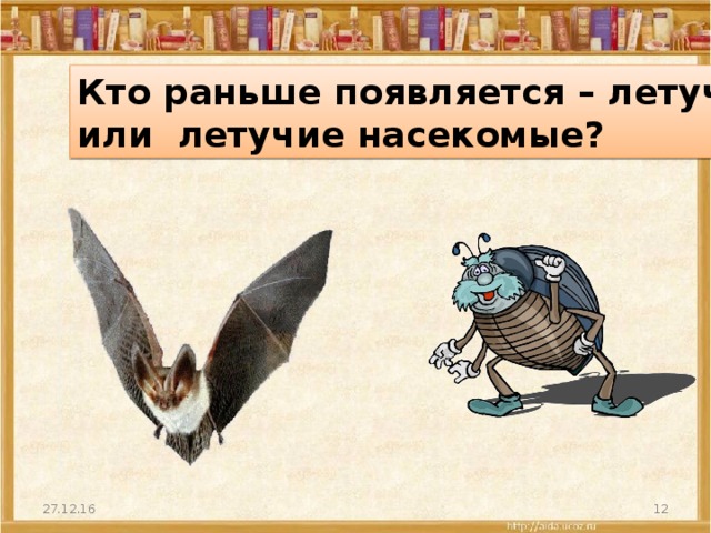 Кто раньше появляется – летучие мыши или летучие насекомые? 27.12.16  