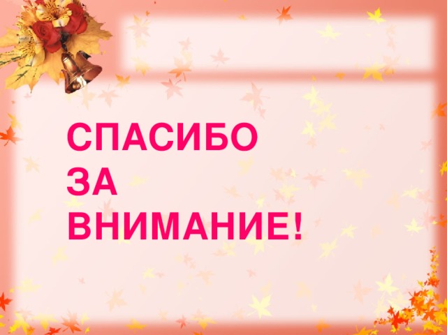 СПАСИБО  ЗА  ВНИМАНИЕ! 