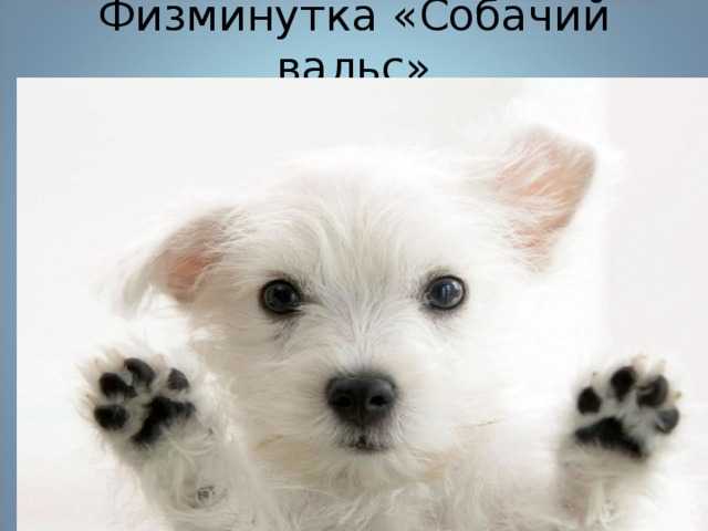 Физминутка «Собачий вальс»   