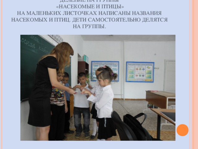 ДЕЛЕНИЕ НА ГРУППЫ   «НАСЕКОМЫЕ И ПТИЦЫ»  НА МАЛЕНЬКИХ ЛИСТОЧКАХ НАПИСАНЫ НАЗВАНИЯ НАСЕКОМЫХ И ПТИЦ. ДЕТИ САМОСТОЯТЕЛЬНО ДЕЛЯТСЯ НА ГРУППЫ.   