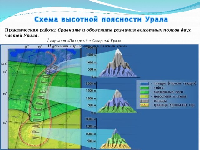 Практическая работа: Сравните и объясните различия высотных поясов двух частей Урала .  I  вариант  «Полярный и Северный Урал»  II вариант «Приполярный и Южный Урал» 