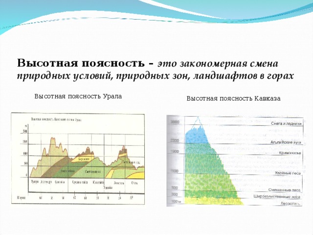 Используя схемы высотной поясности установите набор высотных поясов в горах урала и южной сибири