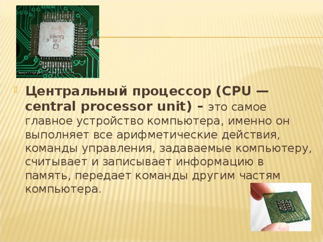 Центральный процессор (CPU — central processor unit) – это самое главное устройство компьютера, именно он выполняет все арифметические действия, команды управления, задаваемые компьютеру, считывает и записывает информацию в память, передает команды другим частям компьютера. 
