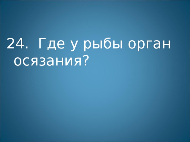 24. Где у рыбы орган осязания? 