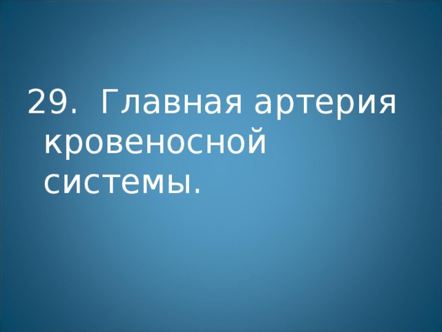 29. Главная артерия кровеносной системы. 