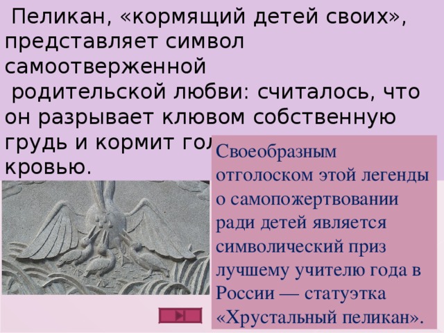 Самоотверженный морфологический. Легенда о Пеликане. Пеликан кормит птенцов своей кровью. Символ самопожертвования. Легенда о Пеликане символ.