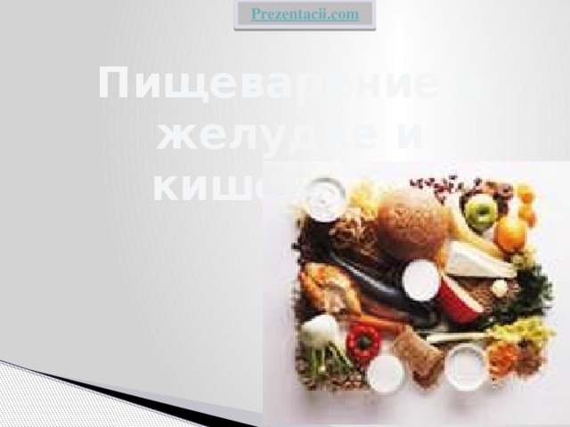 Пищеварение в желудке и кишечнике 