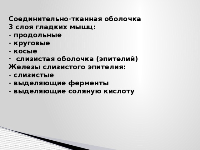 Соединительно-тканная оболочка 3 слоя гладких мышц:  - продольные  - круговые  - косые слизистая оболочка (эпителий) Железы слизистого эпителия:  - слизистые  - выделяющие ферменты  - выделяющие соляную кислоту 