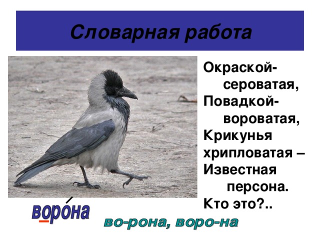 Словарная работа Окраской-  сероватая, Повадкой-  вороватая, Крикунья хрипловатая – Известная  персона. Кто это?.. 