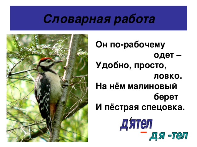 Словарная работа Он по-рабочему  одет – Удобно, просто,  ловко. На нём малиновый  берет И пёстрая спецовка. 