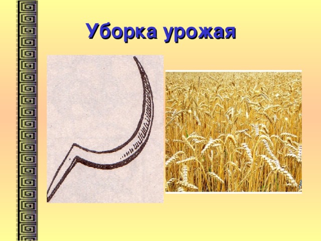 Уборка урожая 