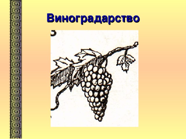 Виноградарство 