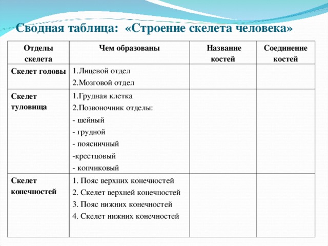 Сводная таблица: «Строение скелета человека» Отделы скелета Чем образованы Скелет головы  Название костей 1.Лицевой отдел 2.Мозговой отдел Скелет туловища Соединение костей 1.Грудная клетка 2.Позвоночник отделы: - шейный - грудной - поясничный -крестцовый - копчиковый Скелет конечностей 1. Пояс верхних конечностей 2. Скелет верхней конечностей 3. Пояс нижних конечностей 4. Скелет нижних конечностей 