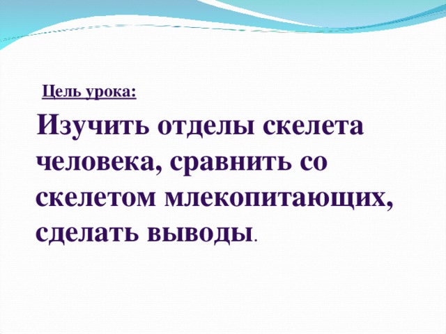  Цель урока:  Изучить отделы скелета человека, сравнить со скелетом млекопитающих, сделать выводы . 