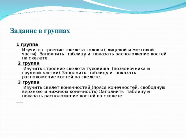 Задание в группах 1 группа  Изучить строение скелета головы  ( лицевой и мозговой части) Заполнить таблицу и показать расположение костей на скелете.  2 группа  Изучить строение скелета туловища (позвоночника и грудной клетки) Заполнить таблицу и показать расположение костей на скелете.  3 группа  Изучить скелет конечностей  (пояса конечностей, свободную верхнюю и нижнюю конечность) Заполнить таблицу и показать расположение костей на скелете.   