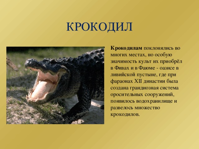 легенды о животных 2 класс.