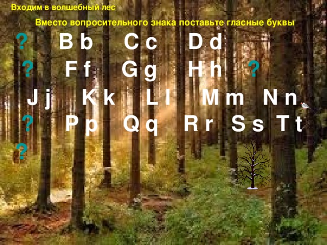 Входим в волшебный лес Вместо вопросительного знака поставьте гласные буквы ? B b C c D d  ? F f G g H h ?   J j K k L l M m N n ? P p Q q R r S s T t  ?  
