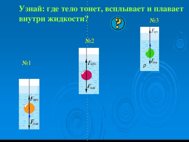 Узнай: где тело тонет, всплывает и плавает внутри жидкости? № 3 № 2 № 1 