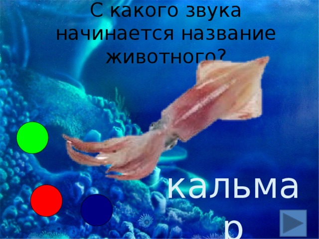 С какого звука начинается название животного? кальмар 
