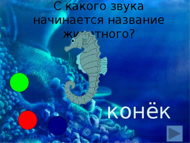 С какого звука начинается название животного? конёк 