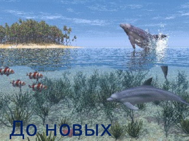 До новых встреч! 