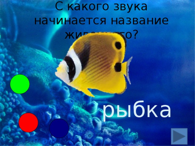 С какого звука начинается название животного? рыбка 