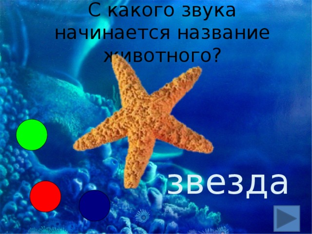 С какого звука начинается название животного? звезда 