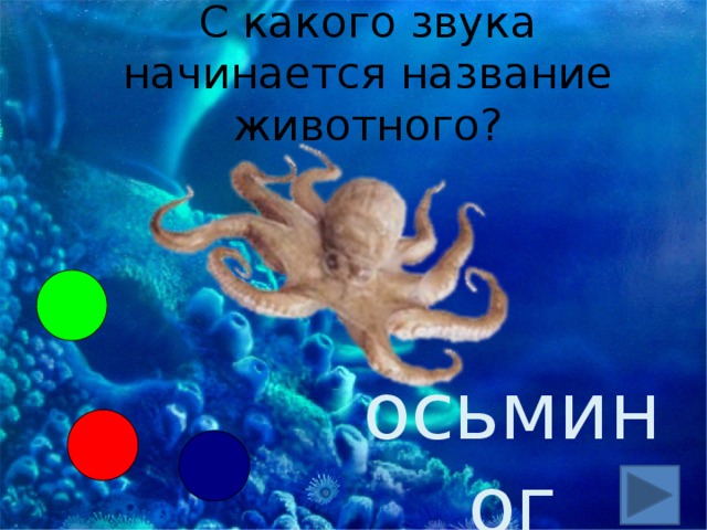 С какого звука начинается название животного? осьминог 