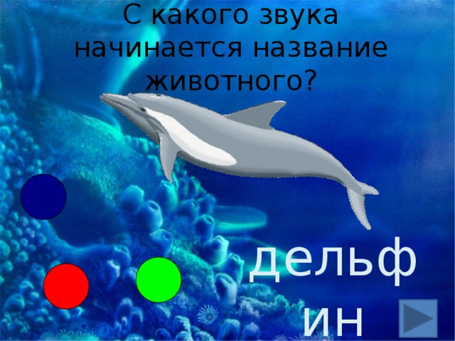 С какого звука начинается название животного? дельфин 