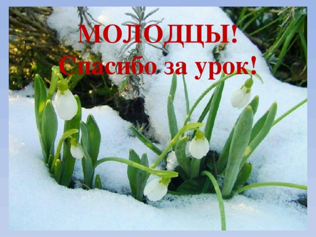 МОЛОДЦЫ!  Спасибо за урок! 