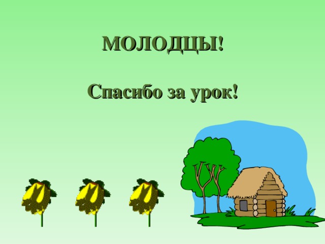 МОЛОДЦЫ!   Спасибо за урок! 
