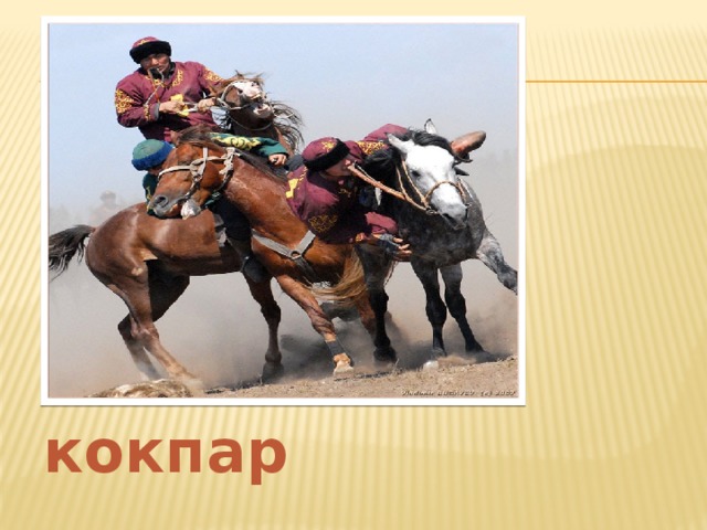кокпар 