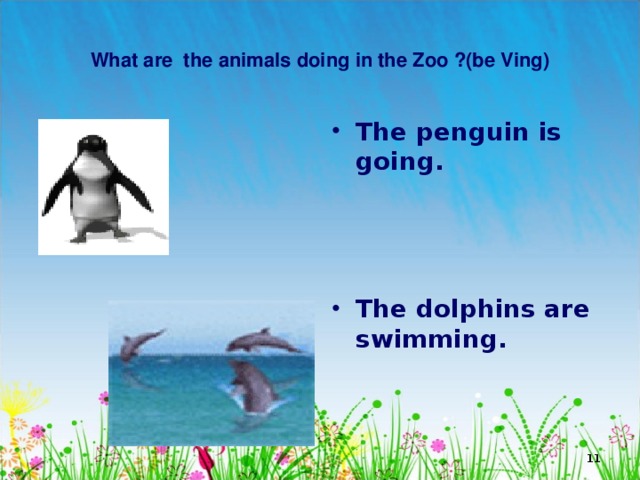  What are the animals doing in the Zoo ?(be Ving)   The penguin is going.    The dolphins are swimming.  