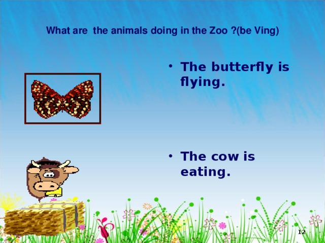   What are the animals doing in the Zoo ?(be Ving)   The butterfly is flying.    The cow is eating.  