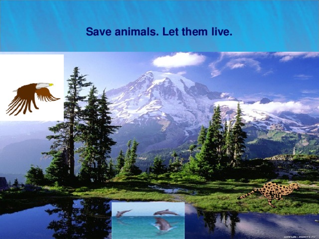   Save animals. Let them live.     