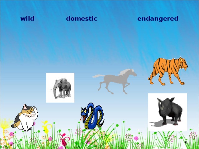  wild domestic endangered    