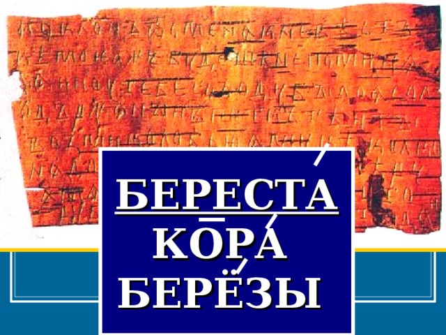 БЕРЕСТА КОРА БЕРЁЗЫ 