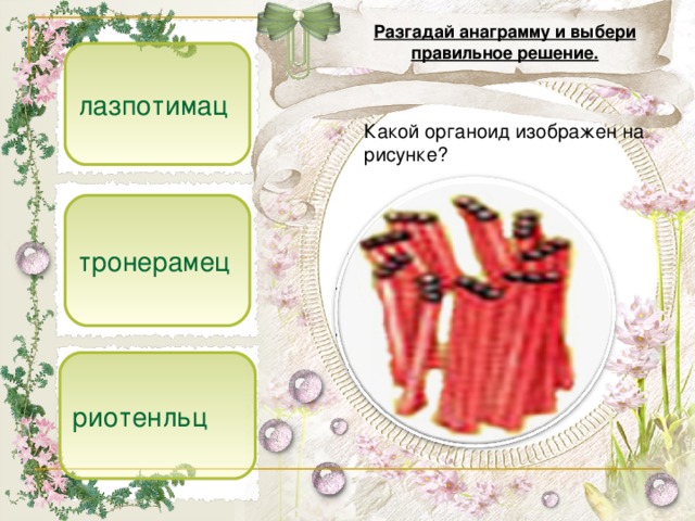 Разгадай анаграмму и выбери правильное решение. лазпотимац  Какой органоид изображен на рисунке? тронерамец риотенльц 