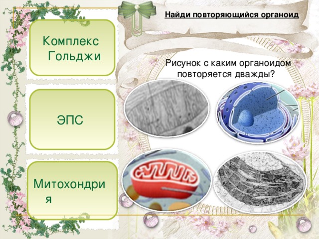 Как называется повторяющийся рисунок