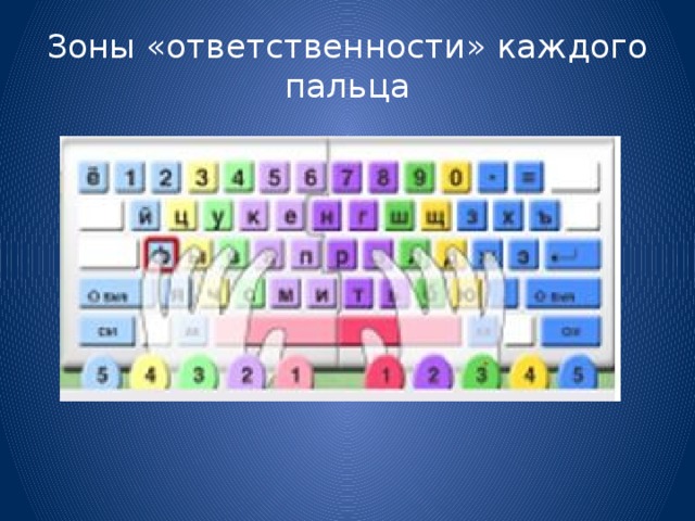 Зоны «ответственности» каждого пальца 