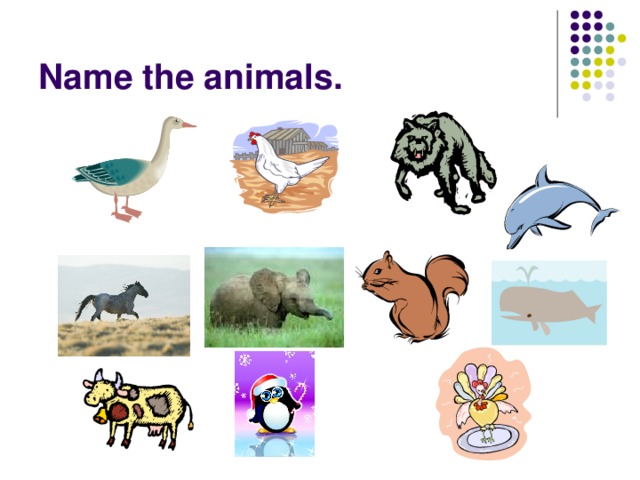 Name the animals. 