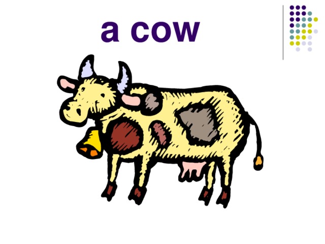 a cow 