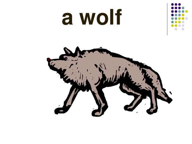  a wolf 