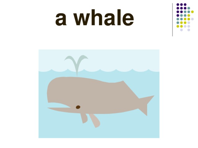  a whale 